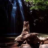 Ellinja falls (Queensland - Australie)