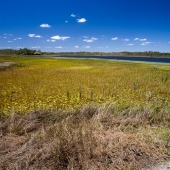 Mareeba Wetlands(Queensland - Australie)