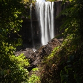 Zillie falls (Queensland - Australie)