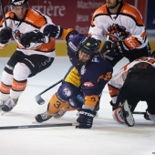 Hockey - Ligue Magnus - Chamonix